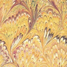 Yellow Marbeled Feathers Italian Print Paper ~ Carta Fiorentina Italy